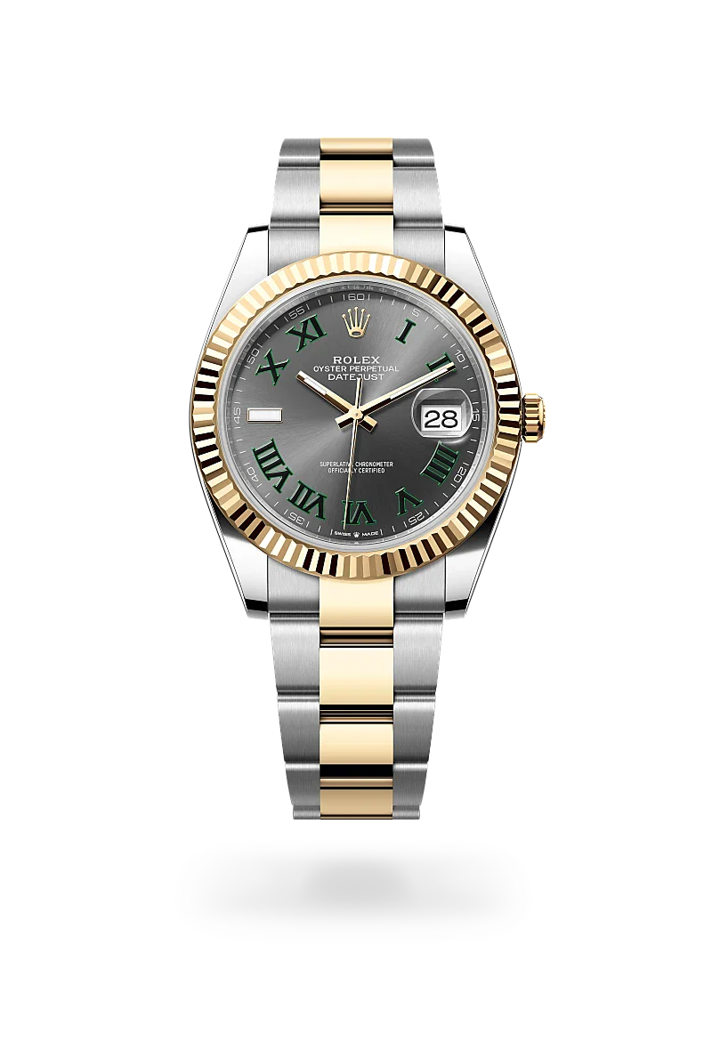 Rolex Datejust 41 in Yellow Rolesor - combination of Oystersteel and yellow gold, M126333-0019 | Walters & Hogsett