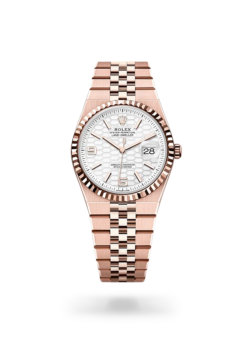 Rolex Land-Dweller 36 in 18 kt Everose gold, M127235-0001 | Walters & Hogsett
