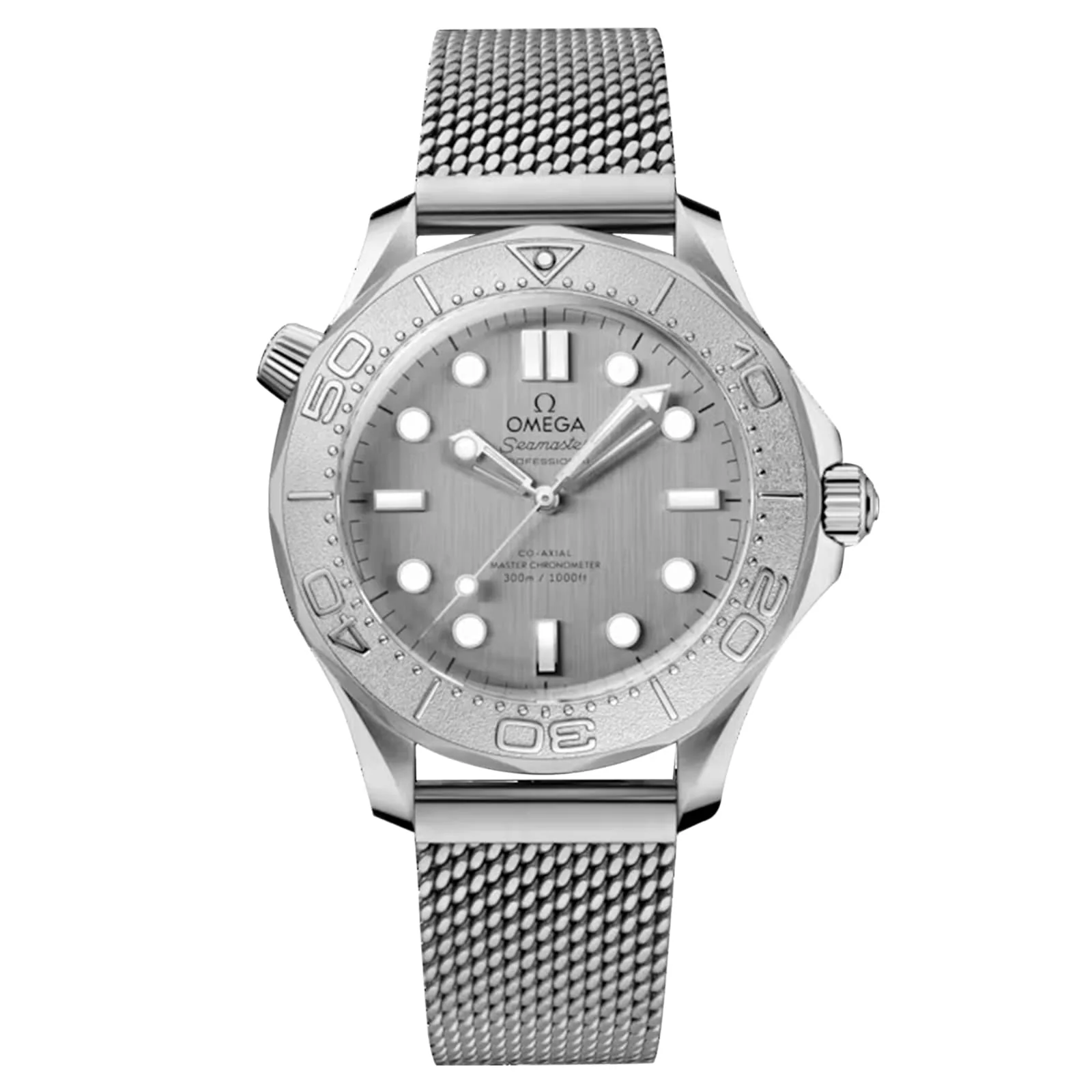 OMEGA Seamaster Diver 300M Men's