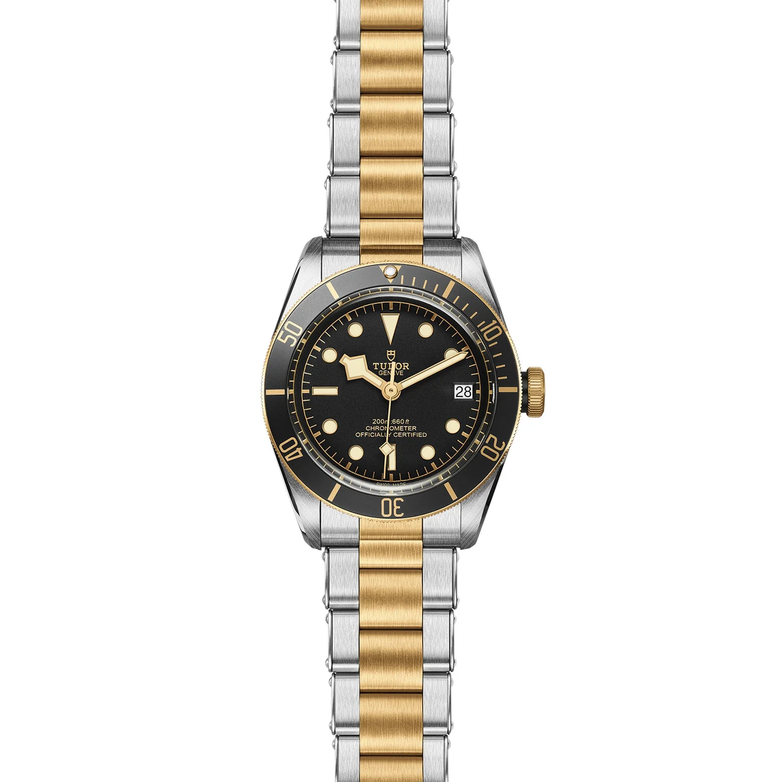 TUDOR Black Bay S&G Men's