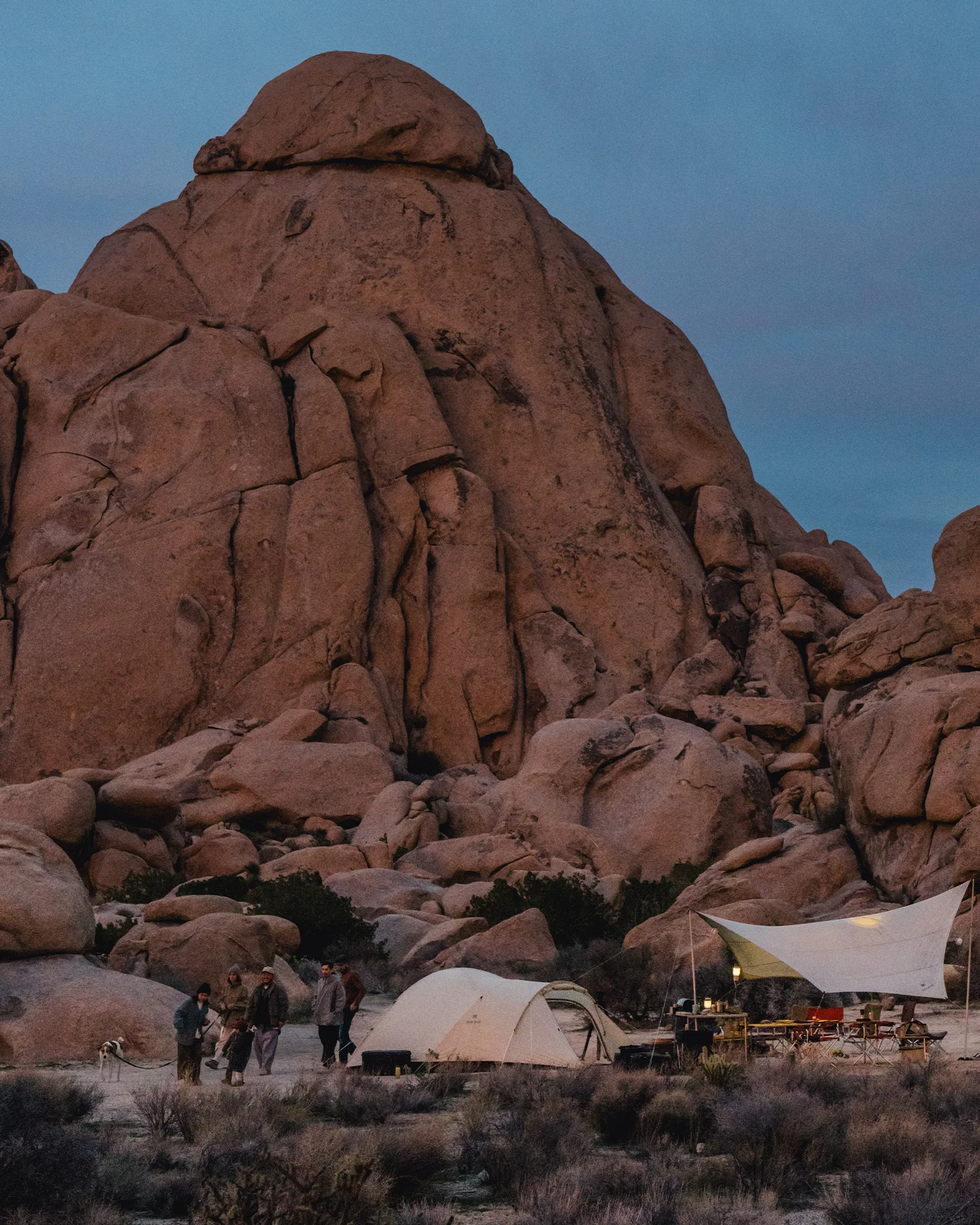 Amenity Medium Tent & Tarp Set in Ivory
