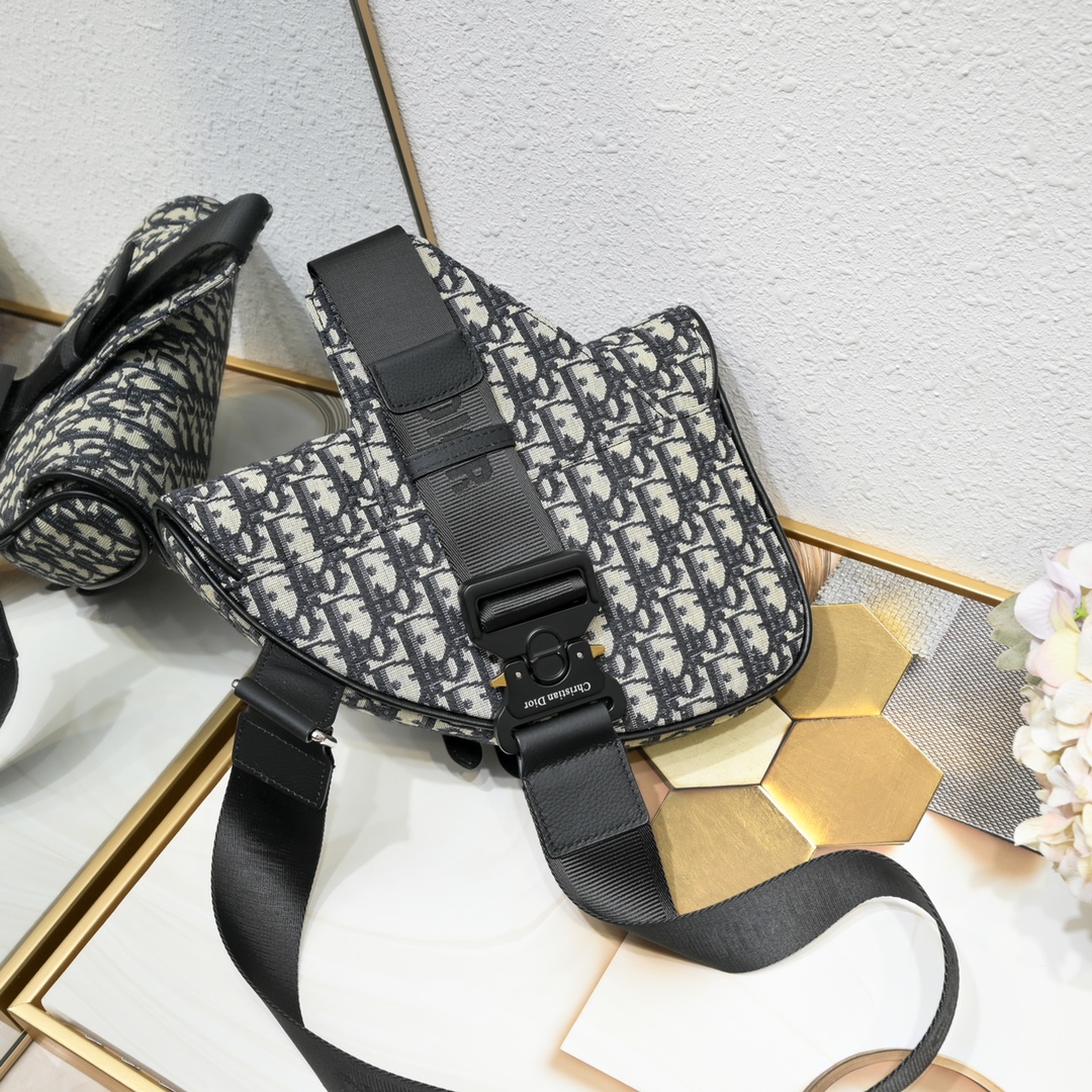 Dior Homme Pre-Fall Saddle Ophidia Shoulder Bag Handbag