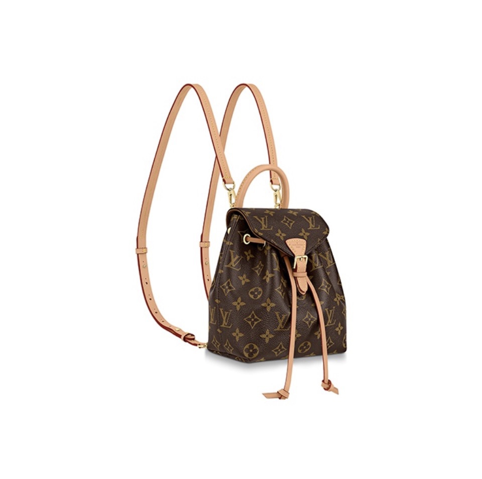 Louis Vuitton LV Montsouris Backpack Bag(Replica)
