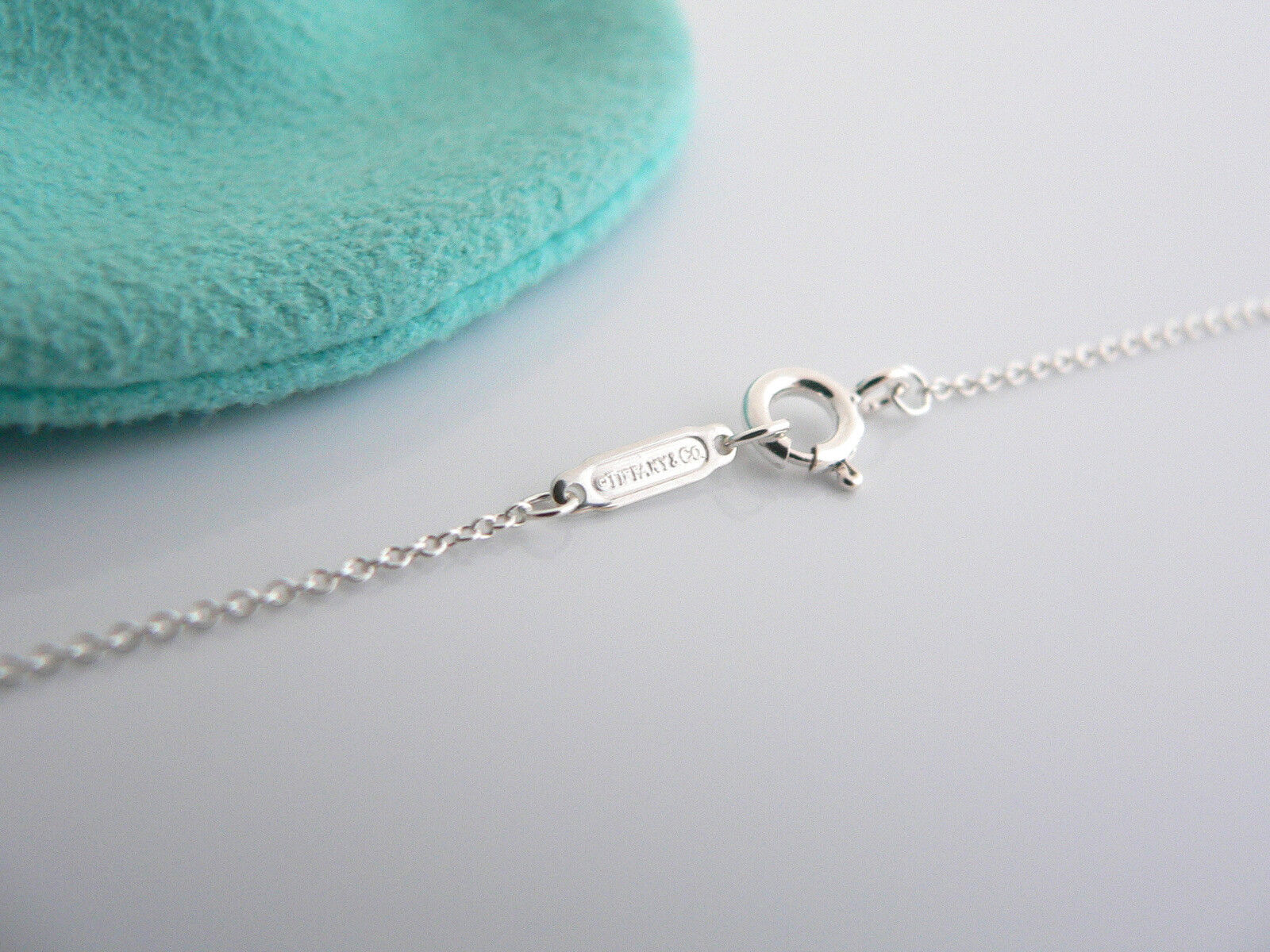 Tiffany Co Diamond Flower Necklace Nature Daisy Key Pendant Chain Gift Pouch Art