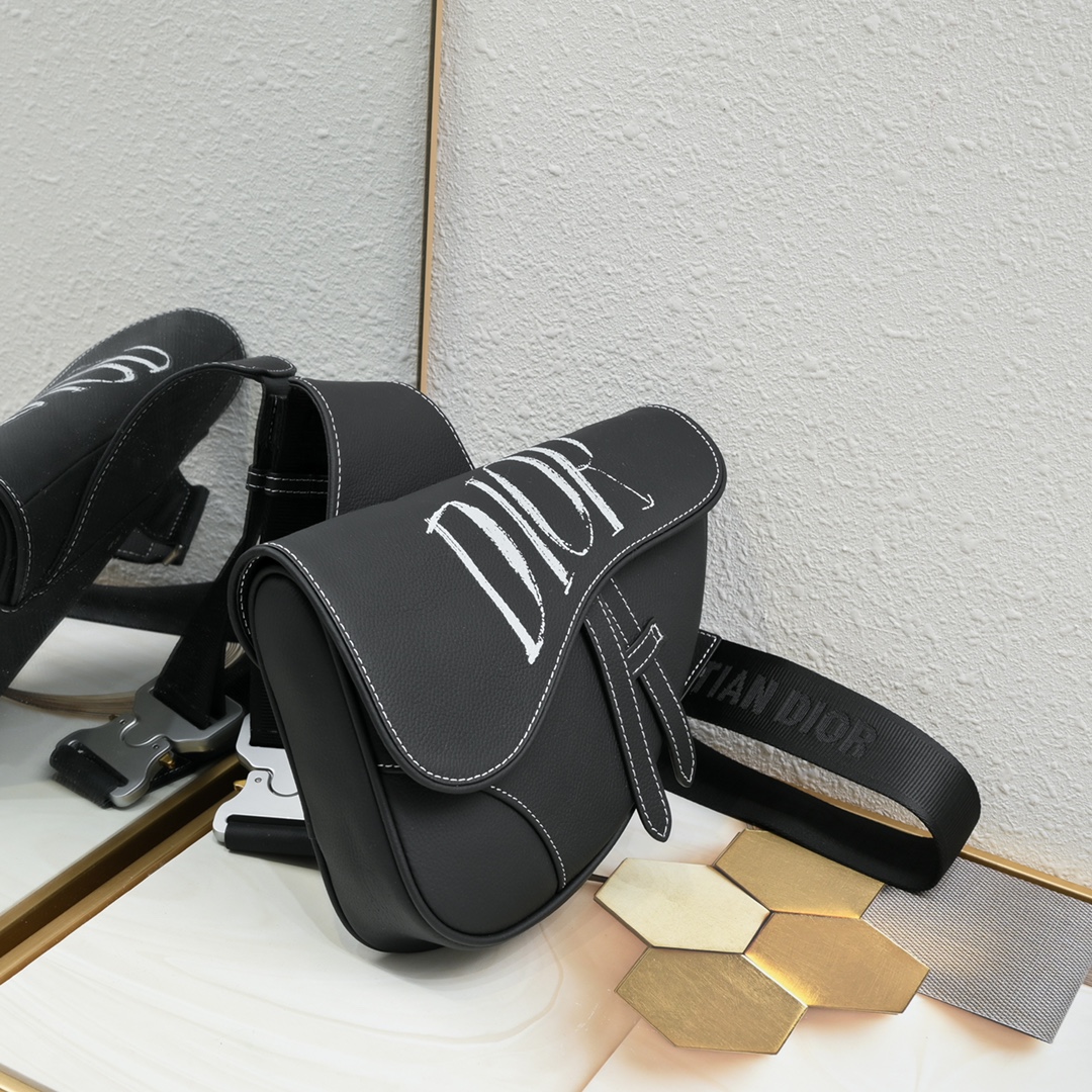 Dior Homme Pre-Fall Saddle Ophidia Shoulder Bag Handbag