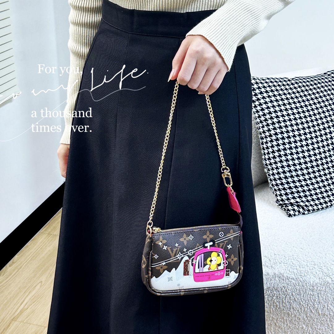 Louis Vuitton Multi Pochette Accessories Mini Bag Purse