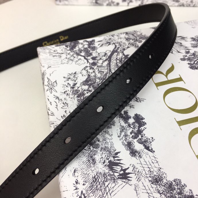 Dior Leather Belts 1:1 Mirror Version