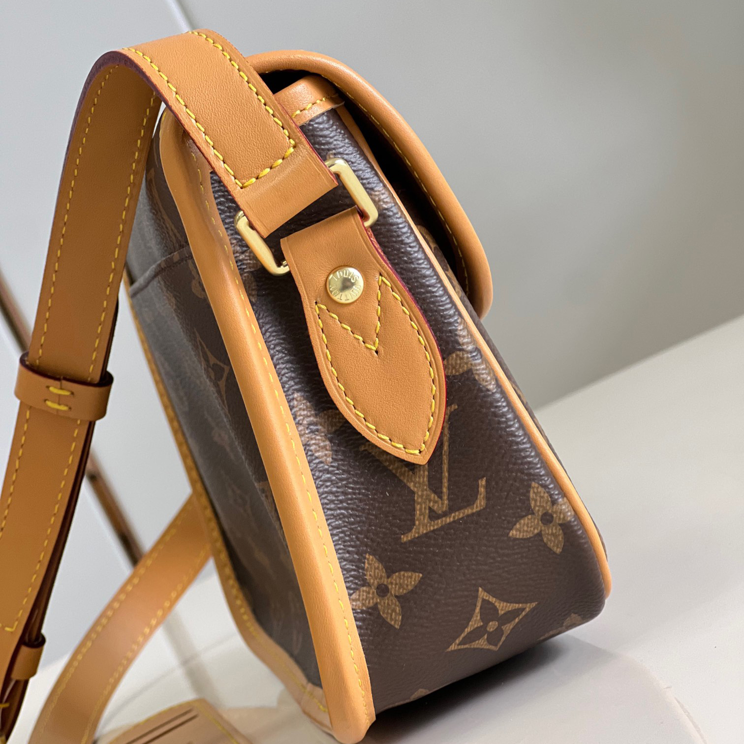 Louis Vuitton Gibeciere PM Shoulder Bag M42248