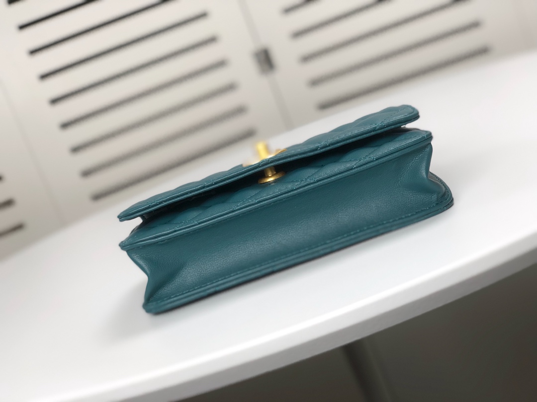 Chanel Wallet On Chain Shoulder Bag Handbag