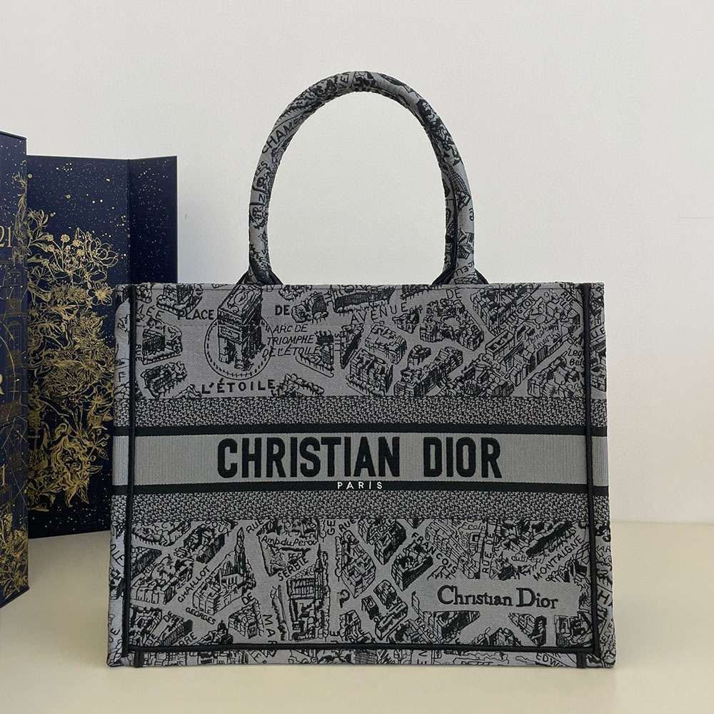 DIOR Book Tote Paris Map Bags(Replica)