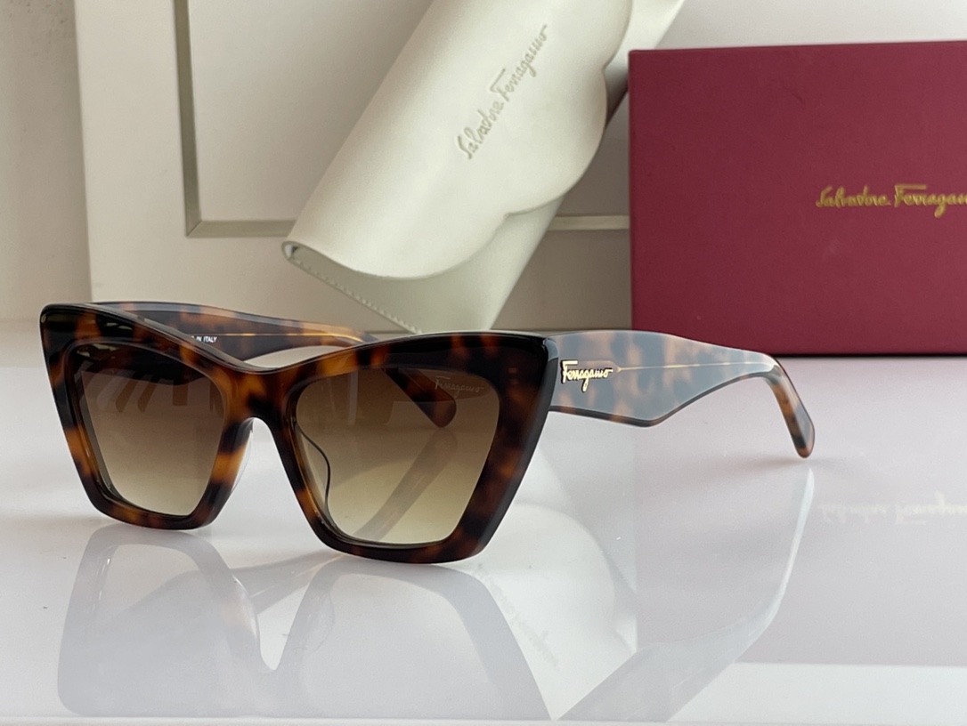 Ferragamo Sunglasses