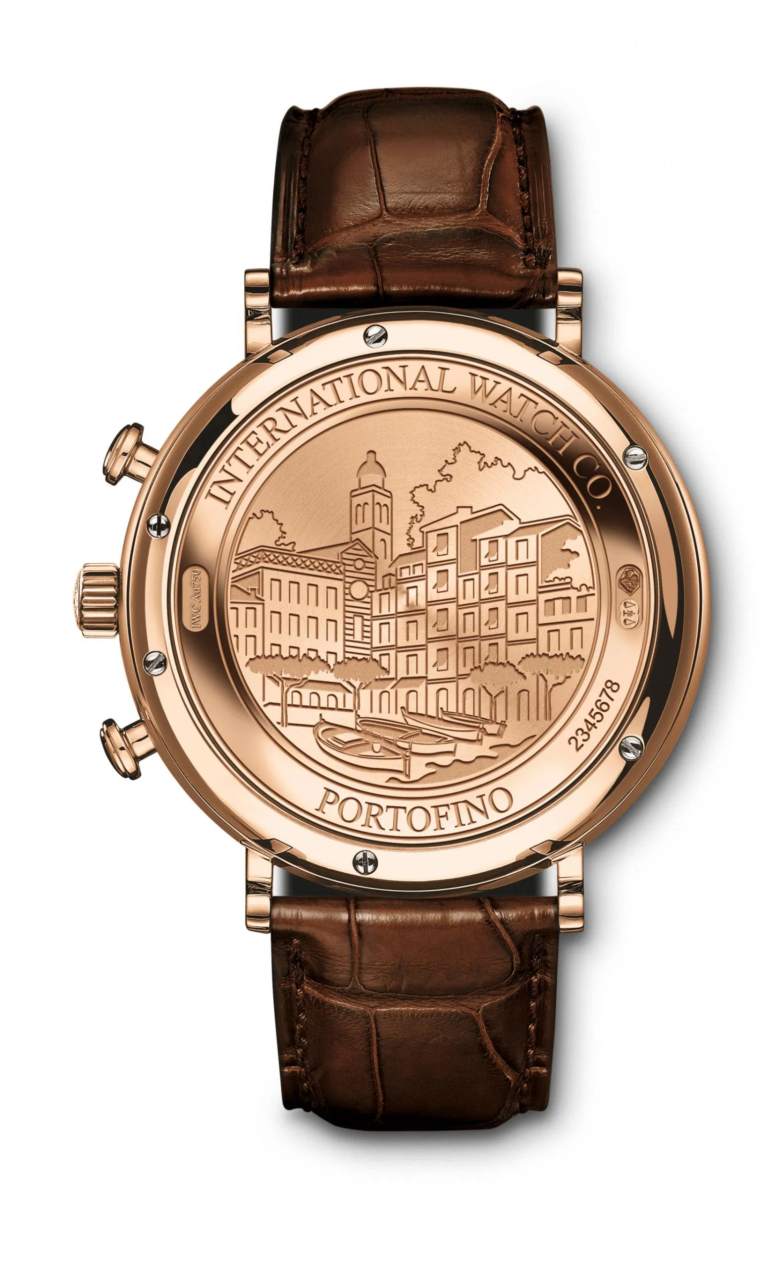 Portofino chronograph iw391021