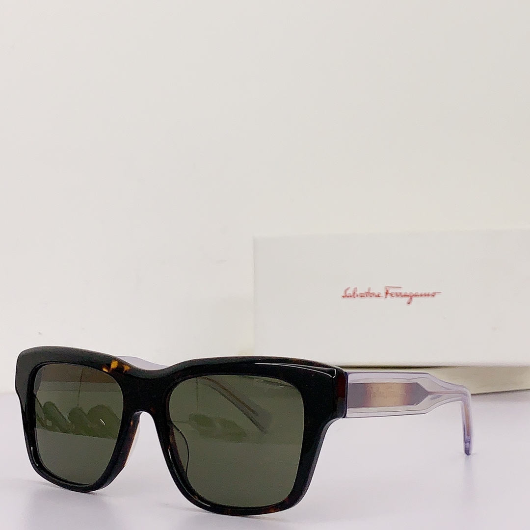 Ferragamo Sunglasses
