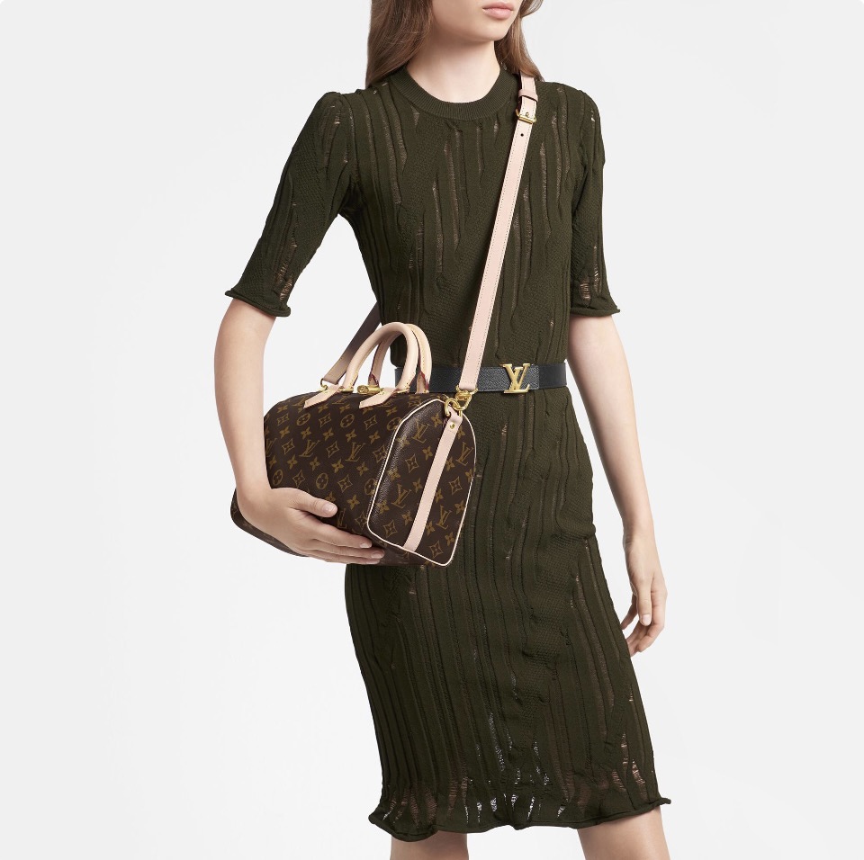 Louis Vuitton LV Speedy 25 Shoulder Bag Handbag(Replica)