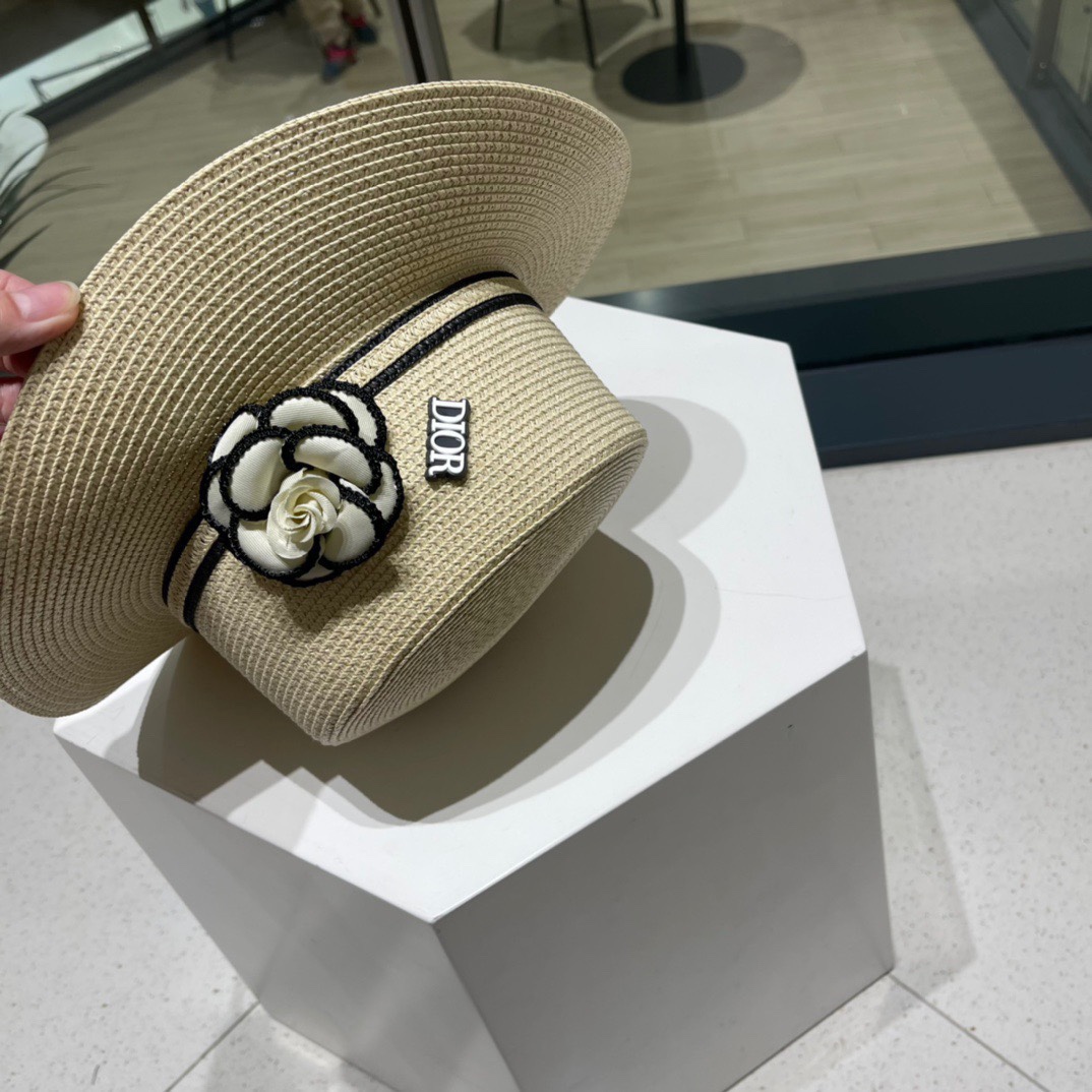 Dior Hats(Replica)