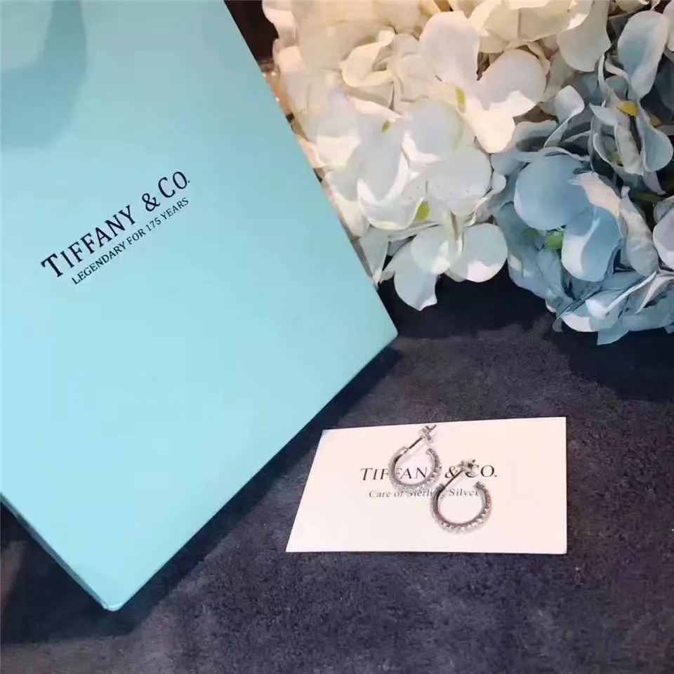 Hot Tiffany Metro Crystals Hoop Earrings Girl Fine Jewelry USA Online Shopping GRP02414