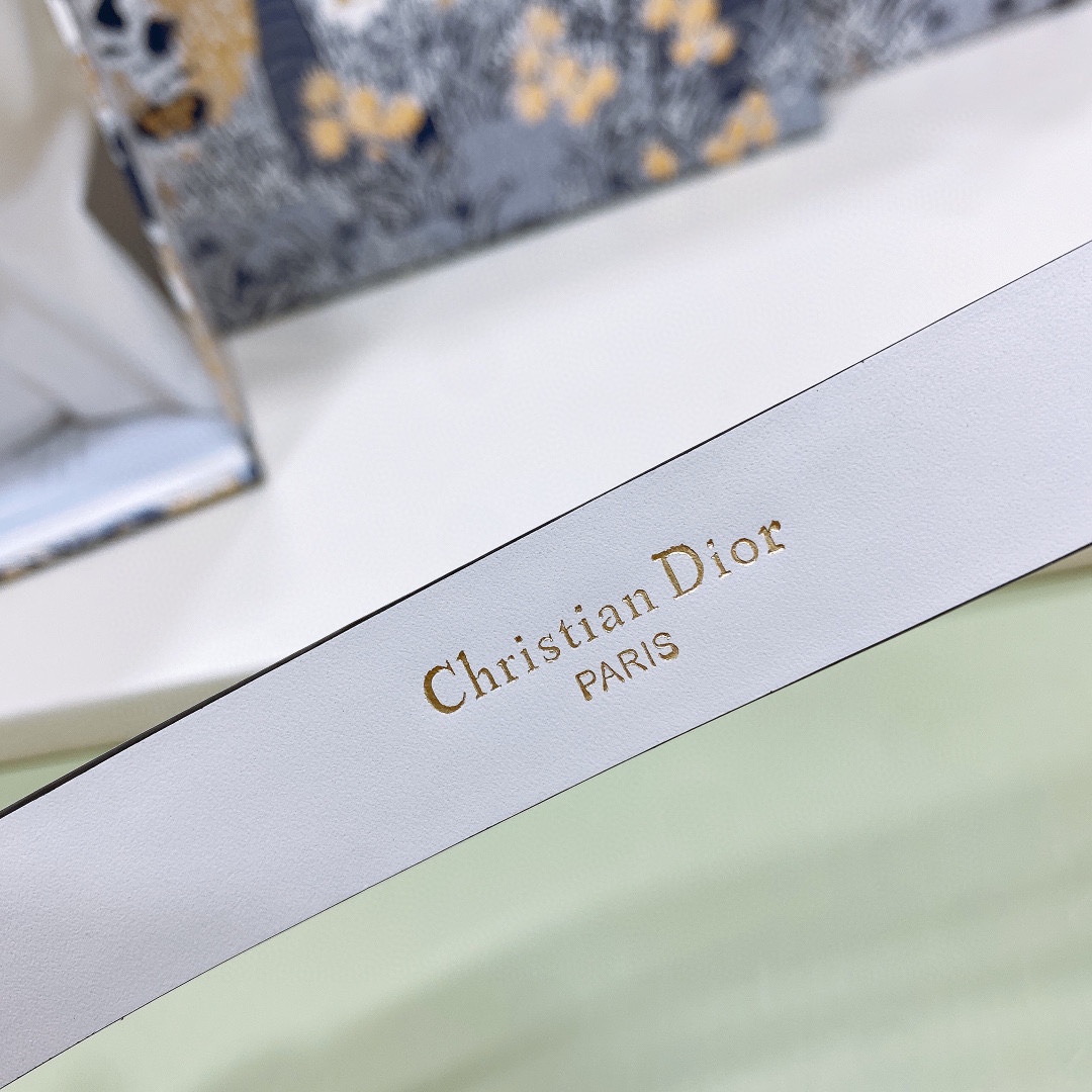 Dior Leather Belts 1:1 Mirror Version