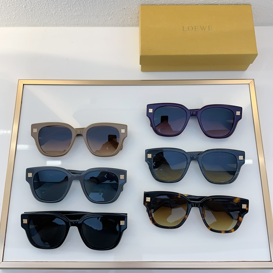 Loewe Sunglasses