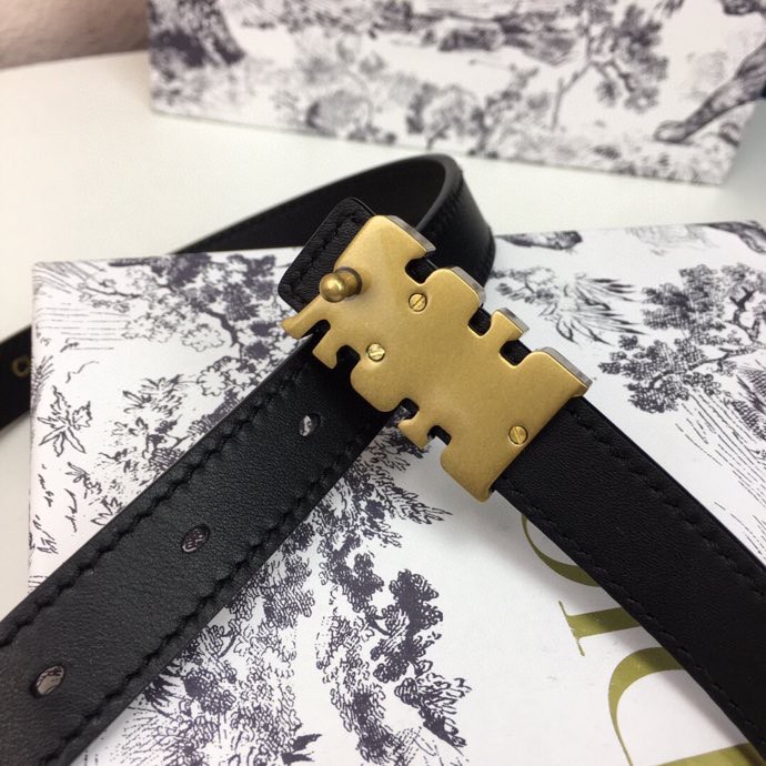 Dior Leather Belts 1:1 Mirror Version