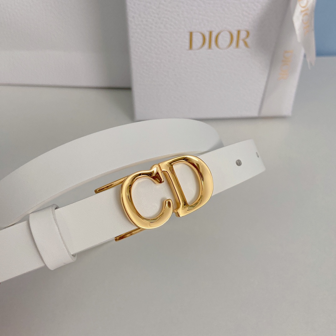 Dior Leather Belts 1:1 Mirror Version