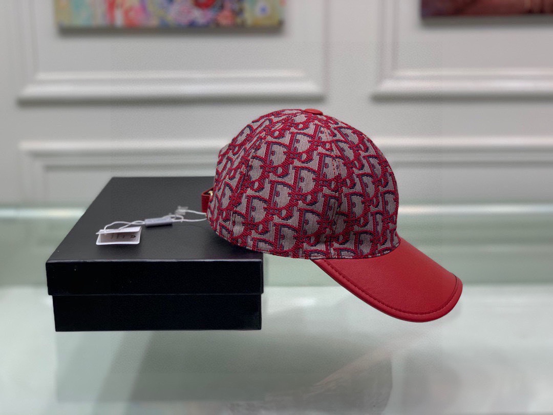 Dior Hats(Replica)