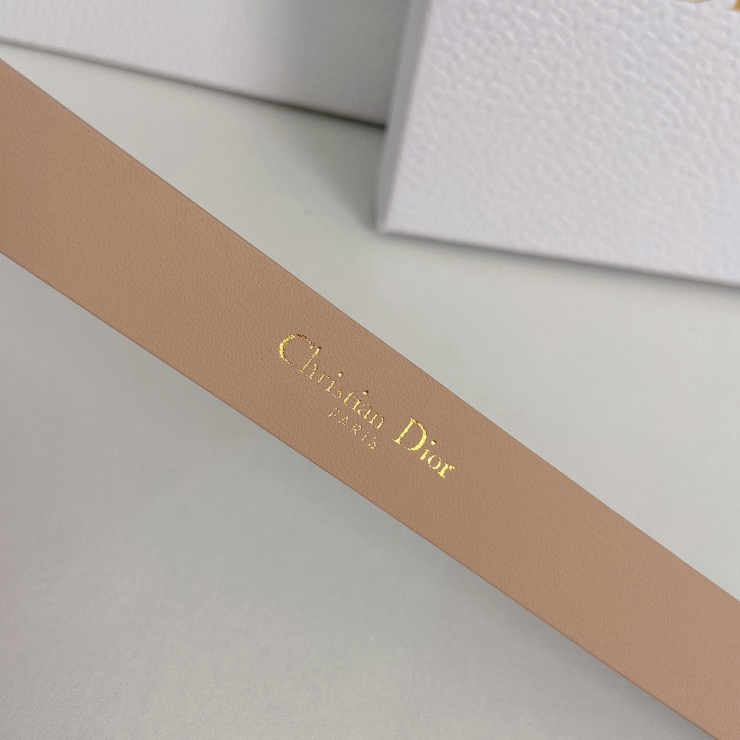 Dior Leather Belts 1:1 Mirror Version
