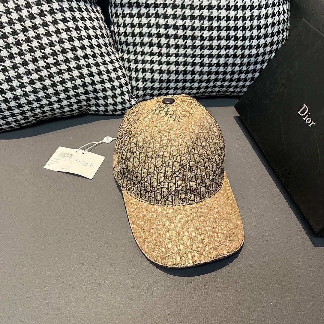 Dior Hats(Replica)