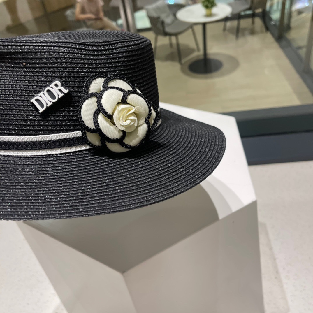 Dior Hats(Replica)