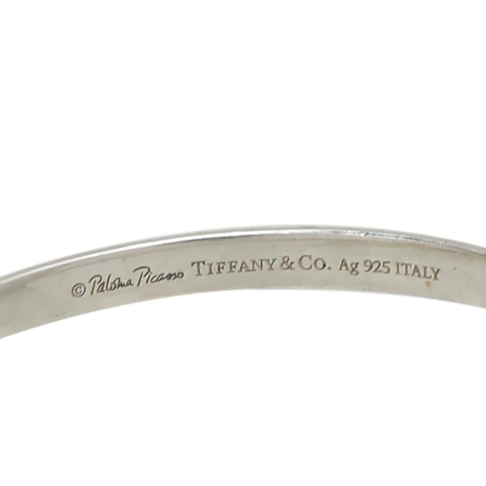 Tiffany & Co Silver Paloma's Melody Circle Pendant Necklace