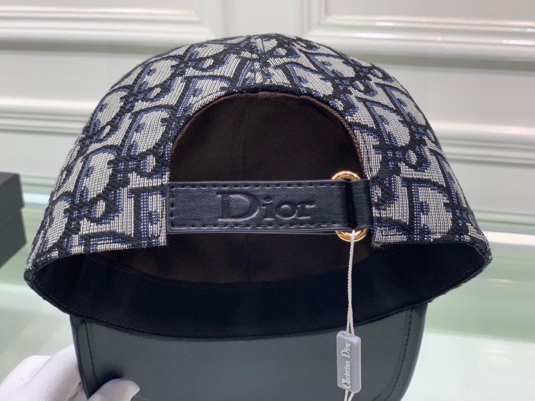 Dior Hats(Replica)