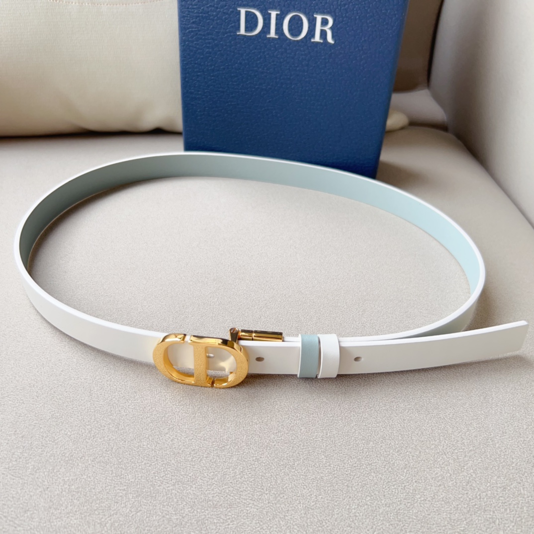 Dior Leather Belts 1:1 Mirror Version