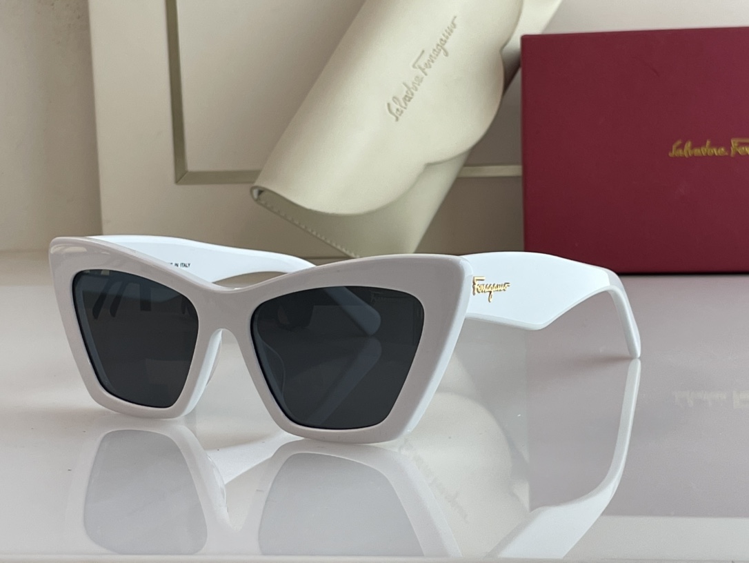 Ferragamo Sunglasses