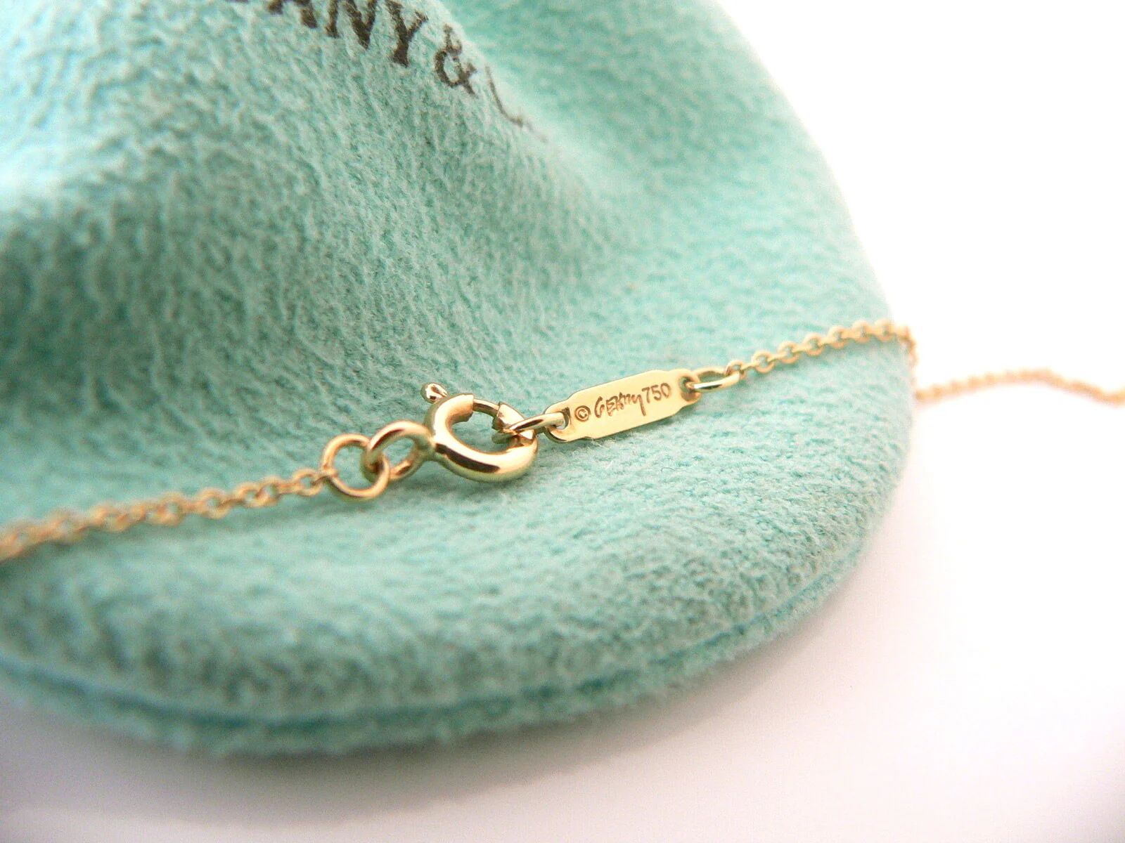 Tiffany & Co 18K Gold Gehry Nature Orchid Flower Necklace Pendant Chain Pouch