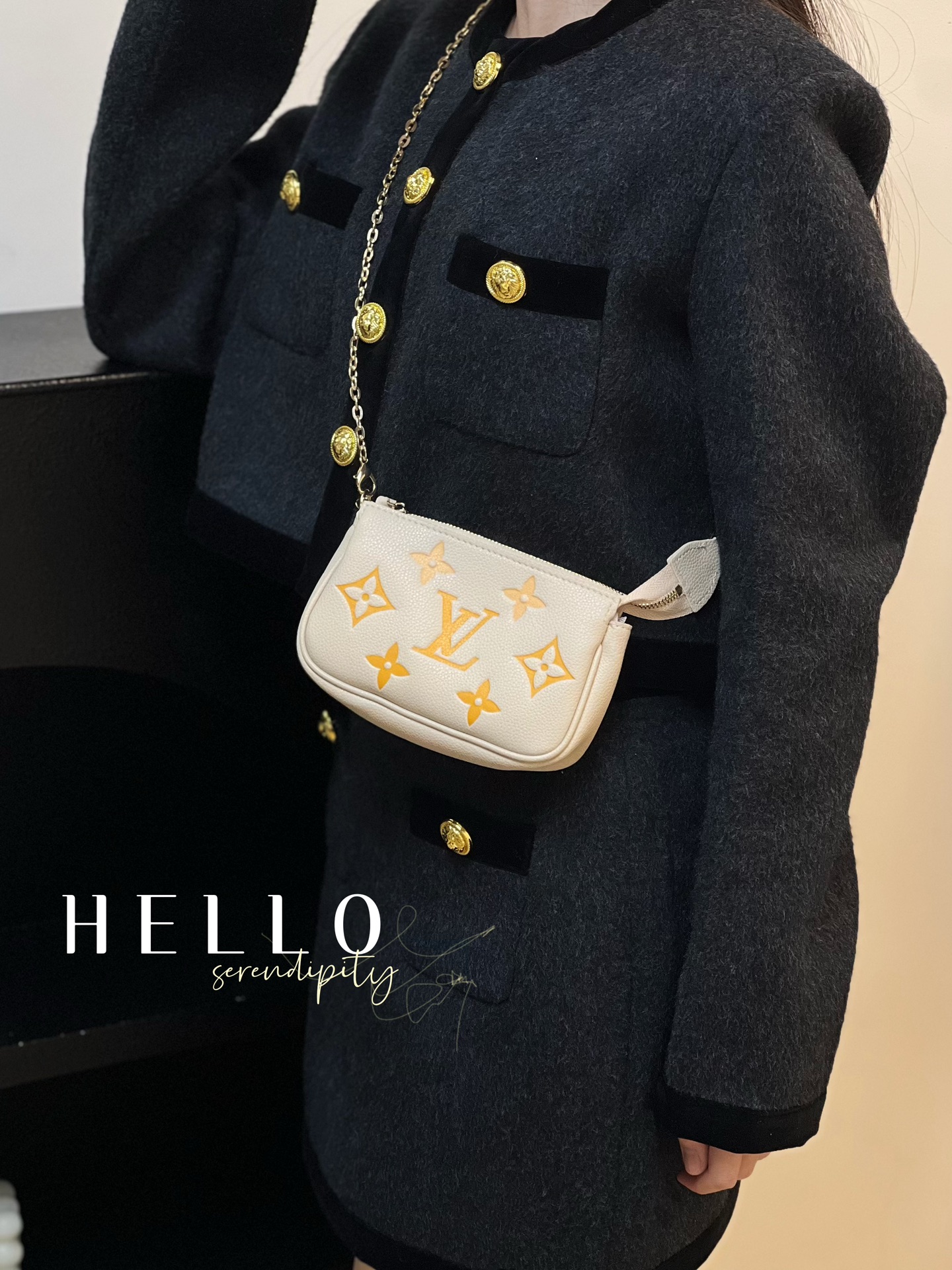 Louis Vuitton Multi Pochette Accessories Mini Bag Purse