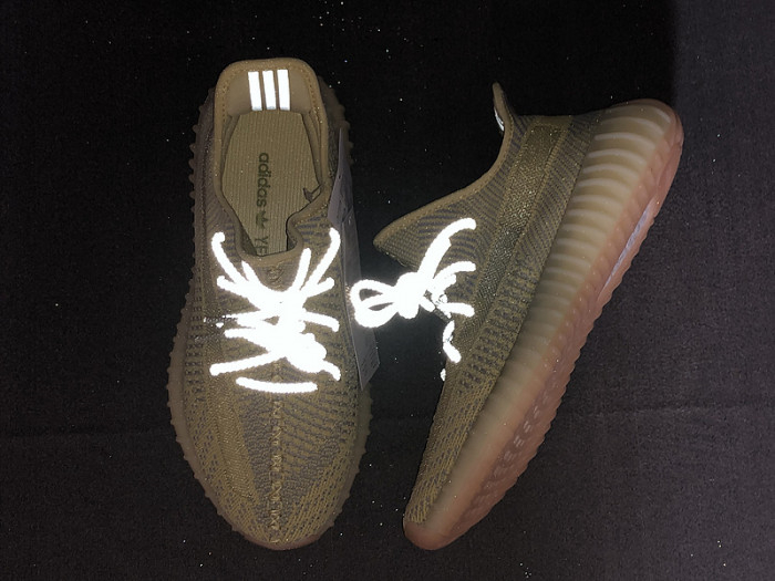 Yeezy Boost 350 V2 Antlia FV3250