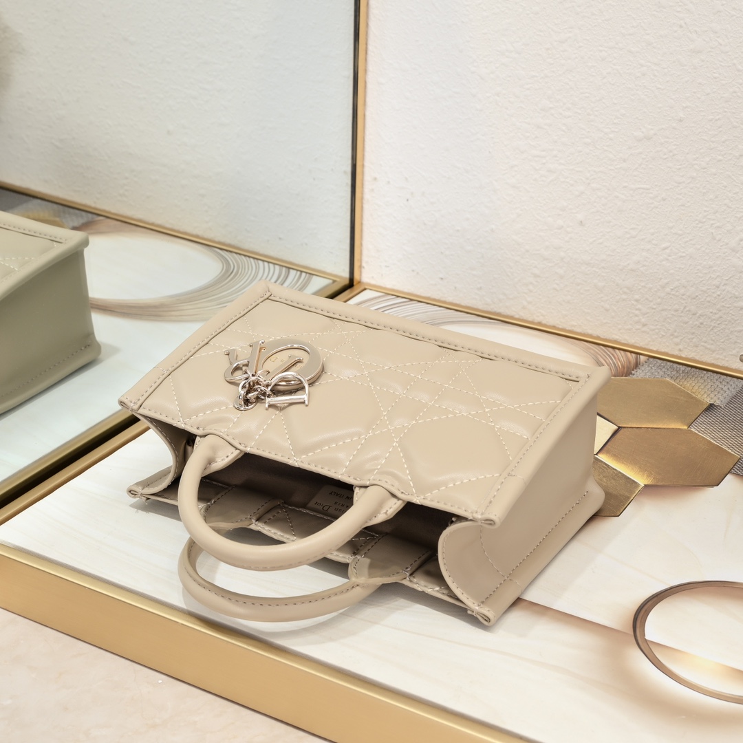 Dior Mini Book Tote Maria Grazia Chiuri design Shoulder Bag Handbag