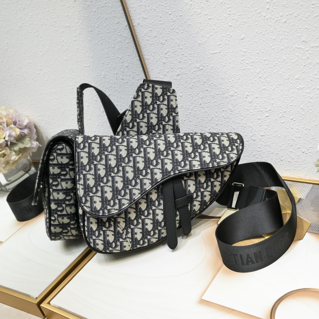 Dior Homme Pre-Fall Saddle Ophidia Shoulder Bag Handbag