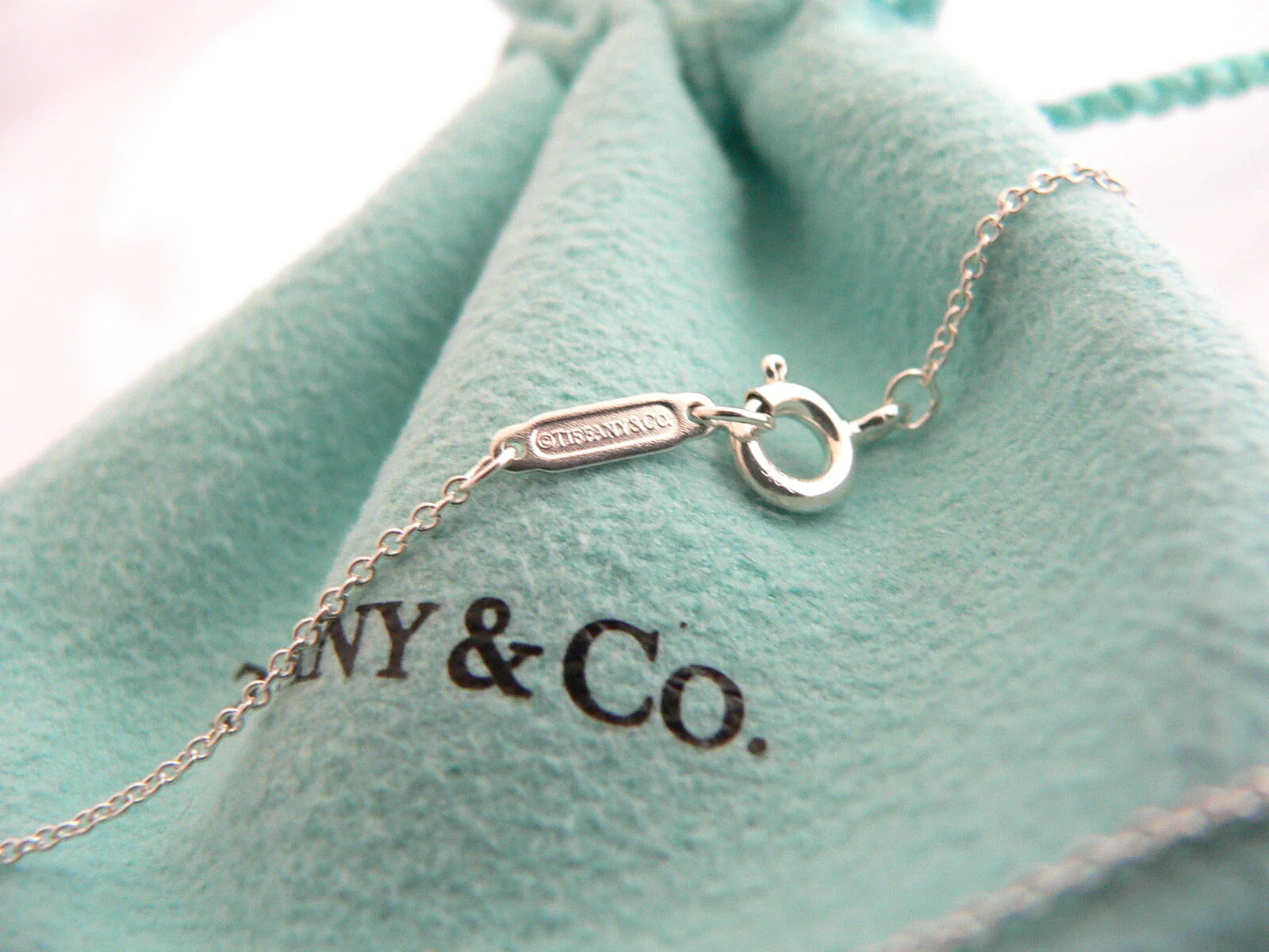 Tiffany & Co Silver Heart Key Locket Necklace Pendant Charm Chain Gift Love