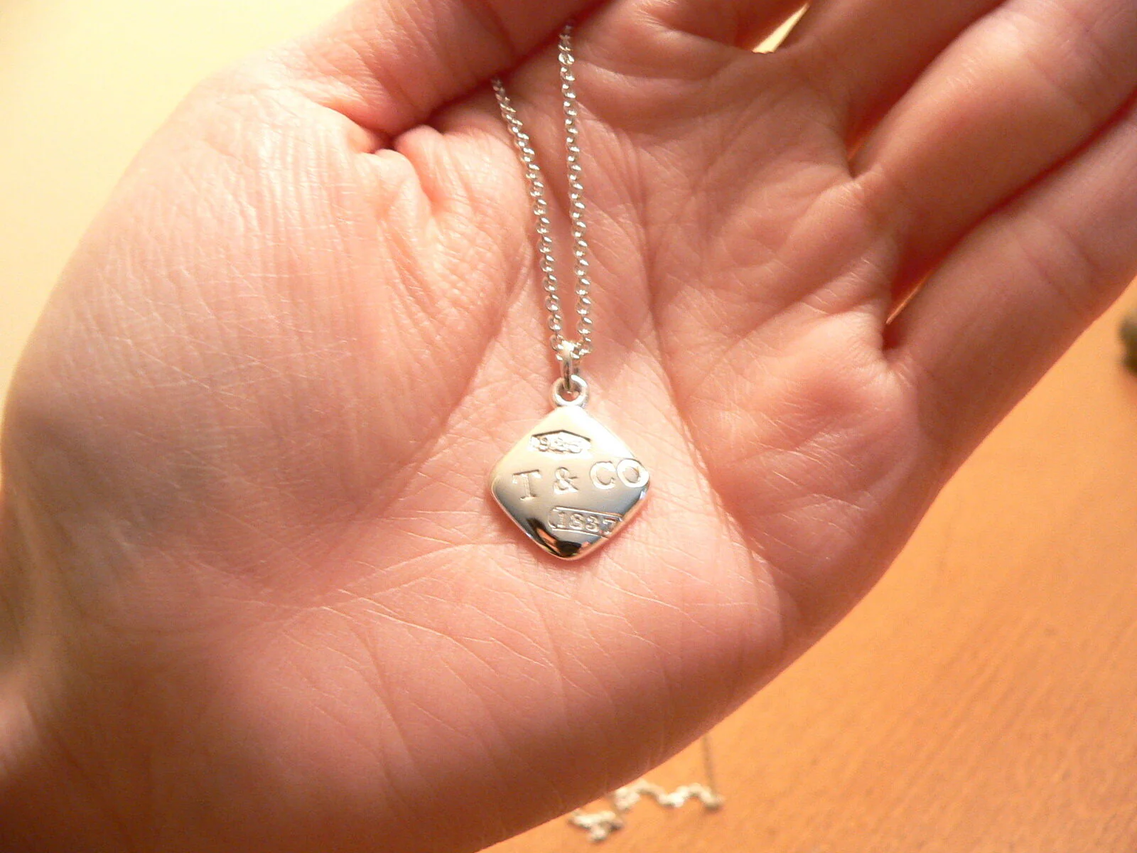 Tiffany & Co Silver 1837 Square Necklace Pendant Charm Chain Gift Love Statement