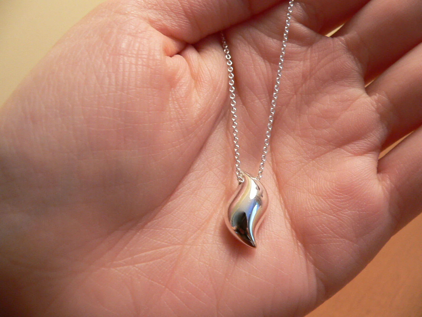 Tiffany & Co Silver Elsa Peretti Feather Necklace Pendant Chain Rare Gift Love