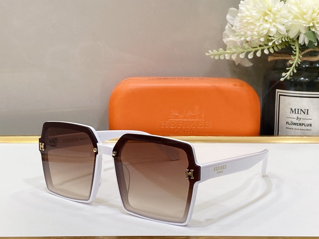 Hermes Sunglasses