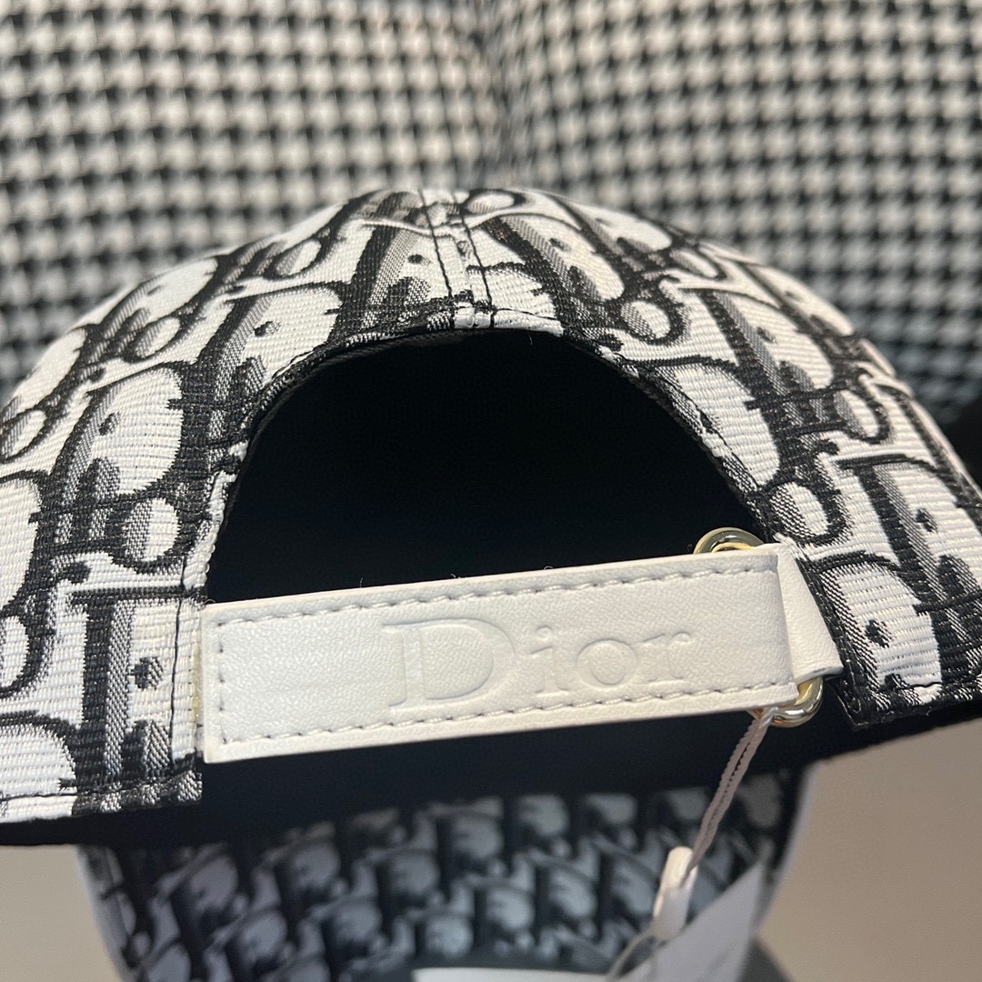 Dior Hats(Replica)