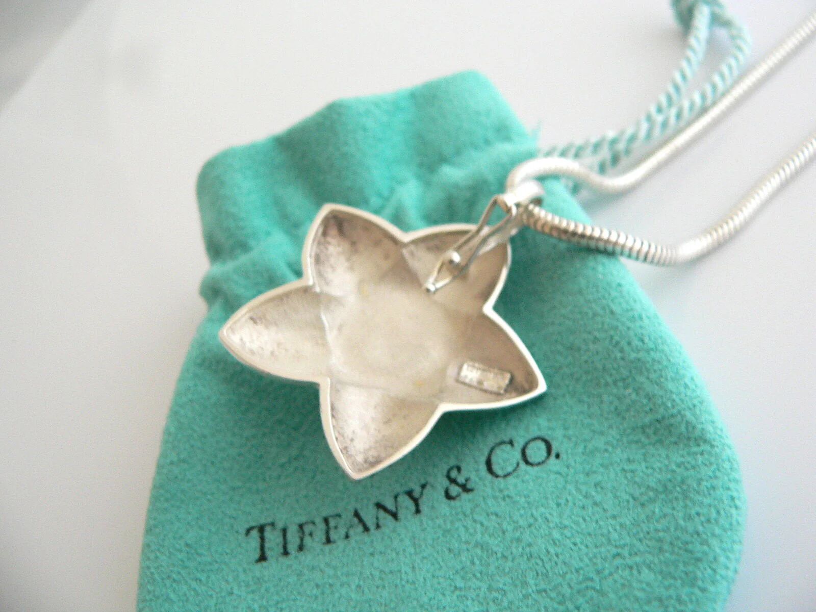 Tiffany & Co Onyx Star Necklace 18K Gold Silver Pendant Snake Chain Gift Pouch