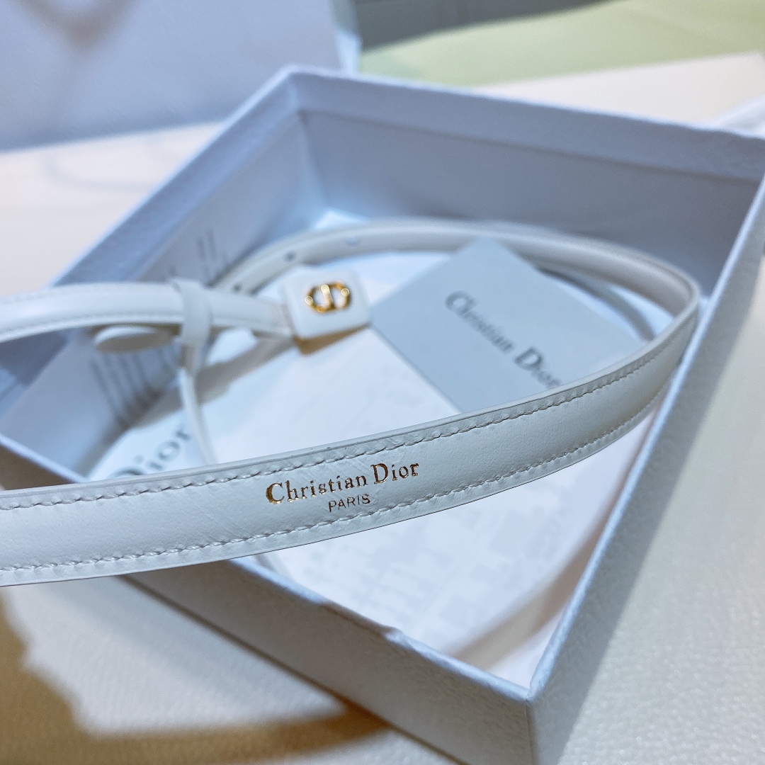 Dior Leather Belts 1:1 Mirror Version