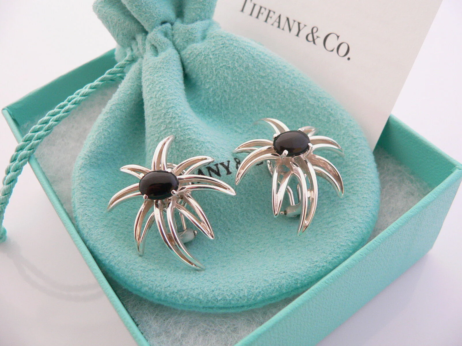 Tiffany & Co Silver Onyx Fireworks Clip On Earrings Gift Pouch Gemstone Love