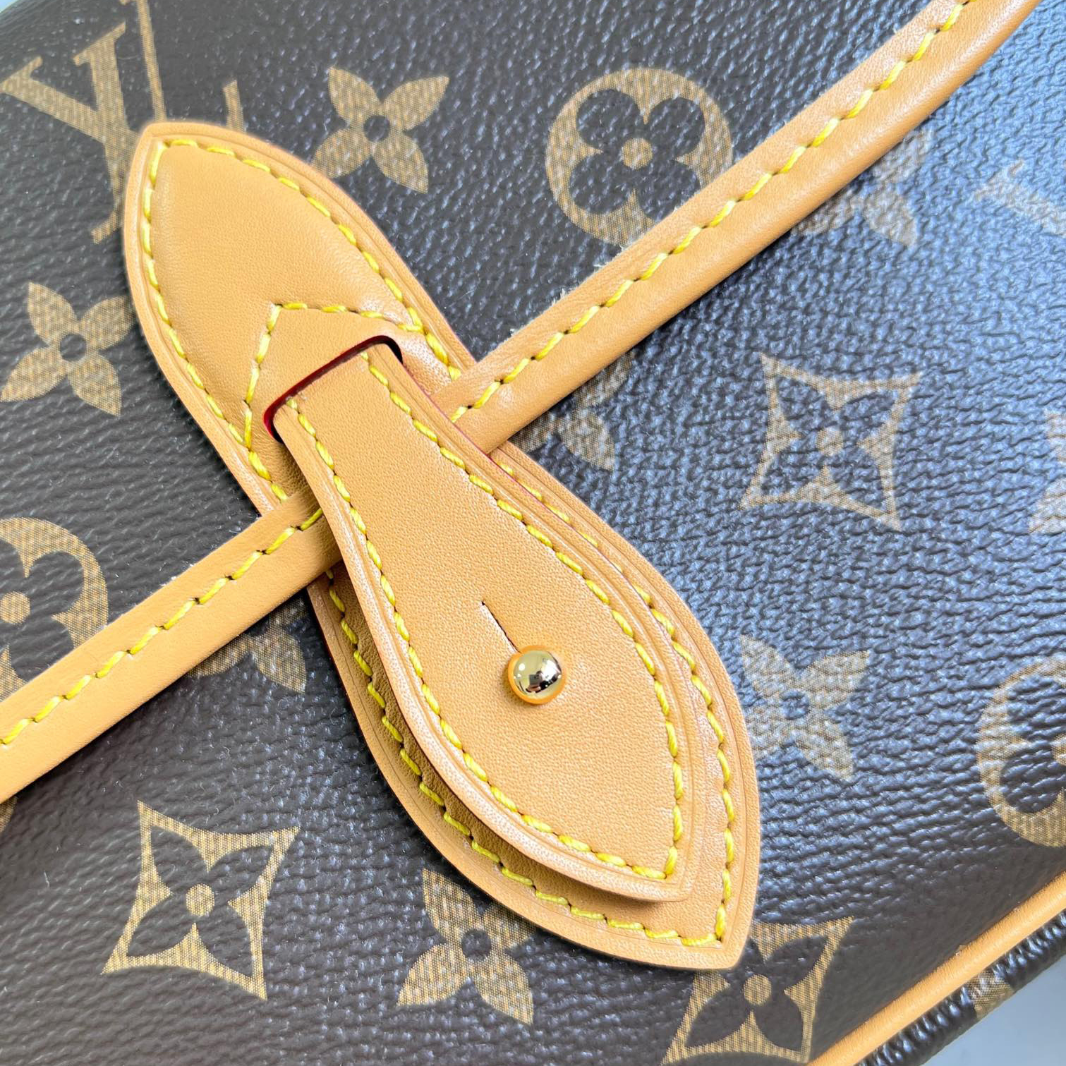 Louis Vuitton Gibeciere PM Shoulder Bag M42248