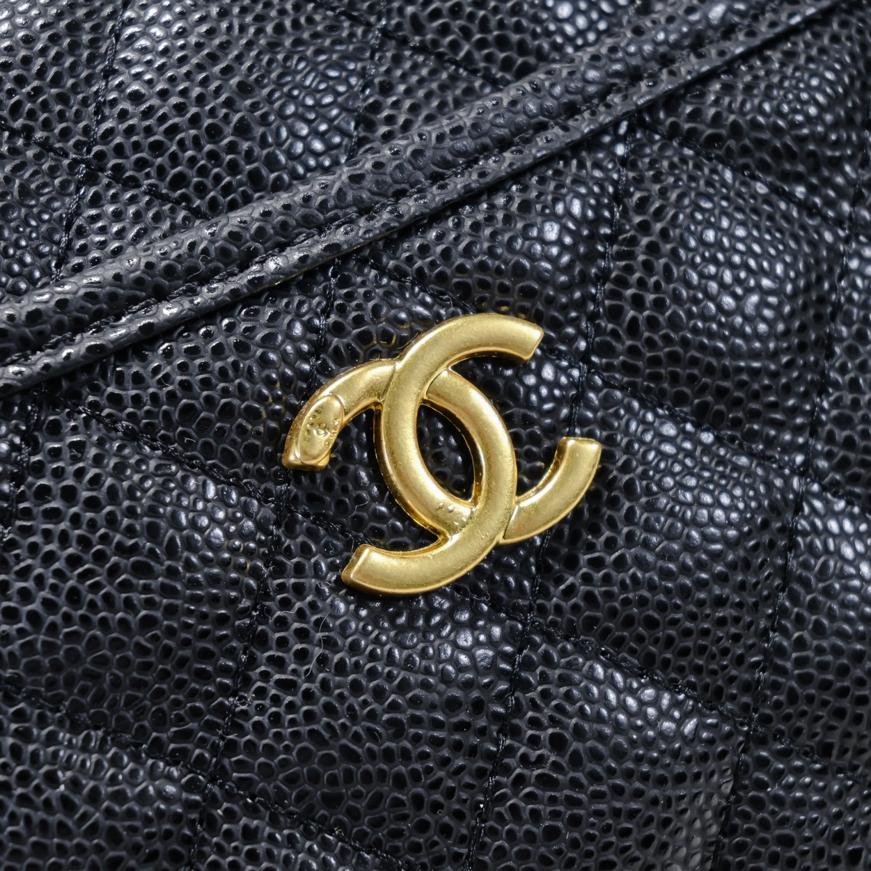 Chanel Caviar Double-C Camera Shoulder Bag Handbag