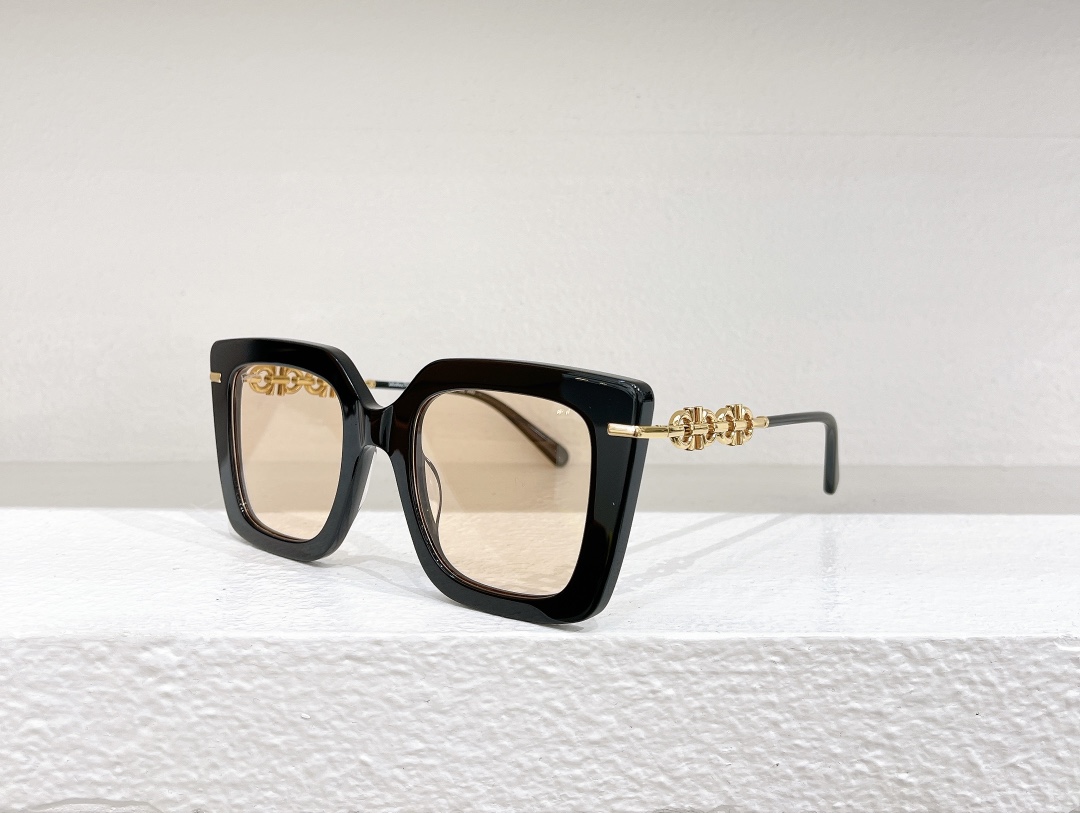 Ferragamo Sunglasses