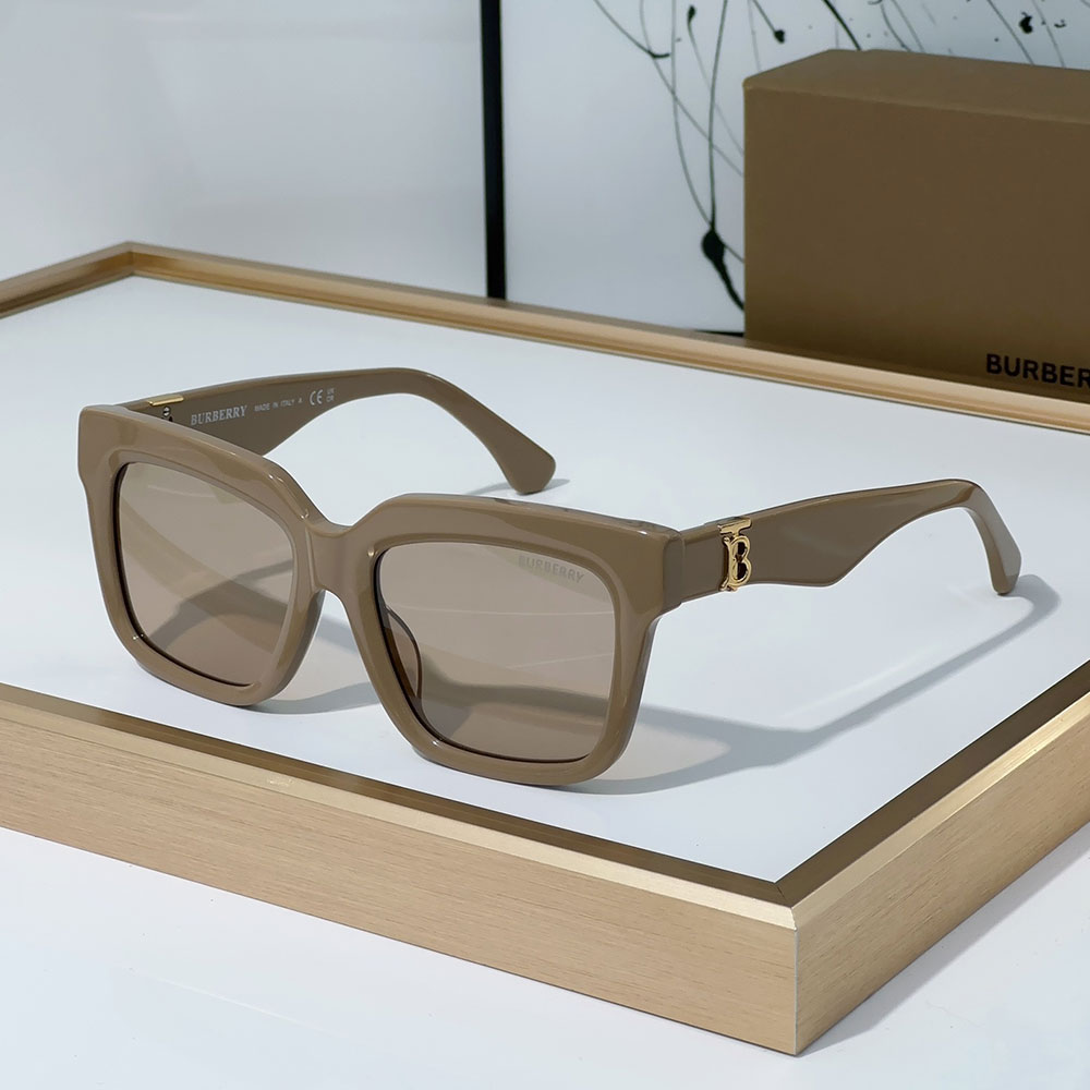 Burberry  Mirror leg Logo Sunglasses Top quality （Replica）