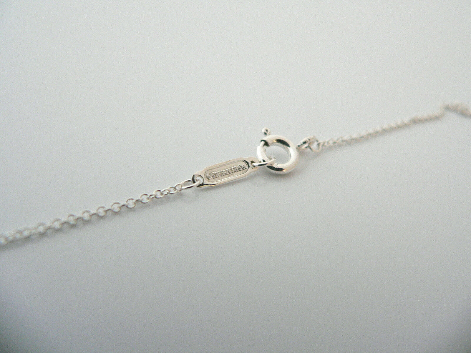 Tiffany & Co Palm Tree Necklace Pendant Charm Chain Nature Lover Summer Gift